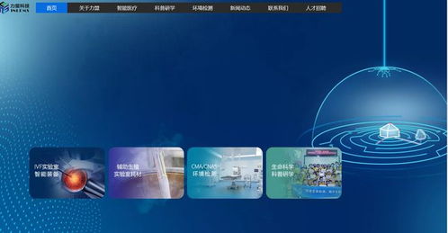 增收不增利的迷思 力盟科技上市后的跨境數(shù)字營銷困局與優(yōu)化之道